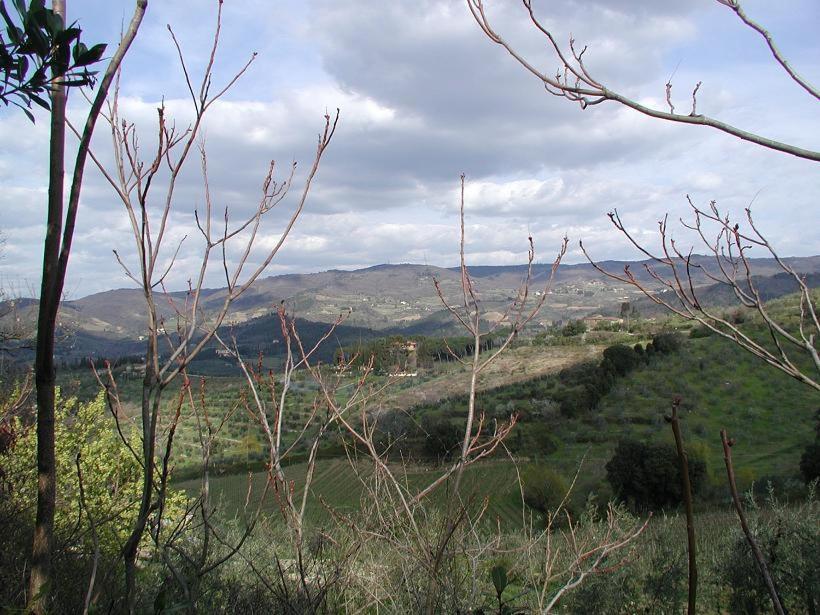Agriturismo Podere La Casa Διαμέρισμα Panzano in Chianti Εξωτερικό φωτογραφία